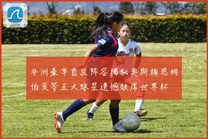 非洲豪华首发阵容揭秘奥斯梅恩姆伯莫等五大球星遗憾缺席世界杯